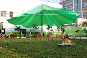 Khu vui chơi thú cưng ngoài trời ở Sài Gòn: mái che xanh lớn, vòng tập agility, tượng chó và ghế ngồi