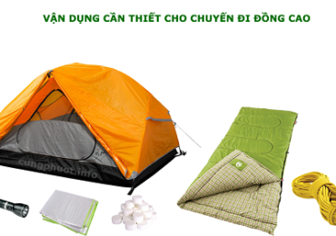 Cánh đồng cỏ xanh mướt bạt ngàn trải dài tại Đồng Cao