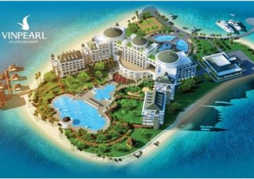 Khu biểu diễn cá heo và hải cẩu sôi động tại Vinpearl Land Nha Trang